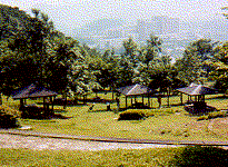 �s�N�j�b�N�L��